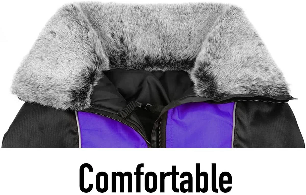 Ebay dog winter best sale coats