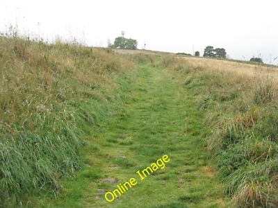 Foto 6x4 Der Southern Upland Way Richtung Westen von Lauder durch Felder c2014