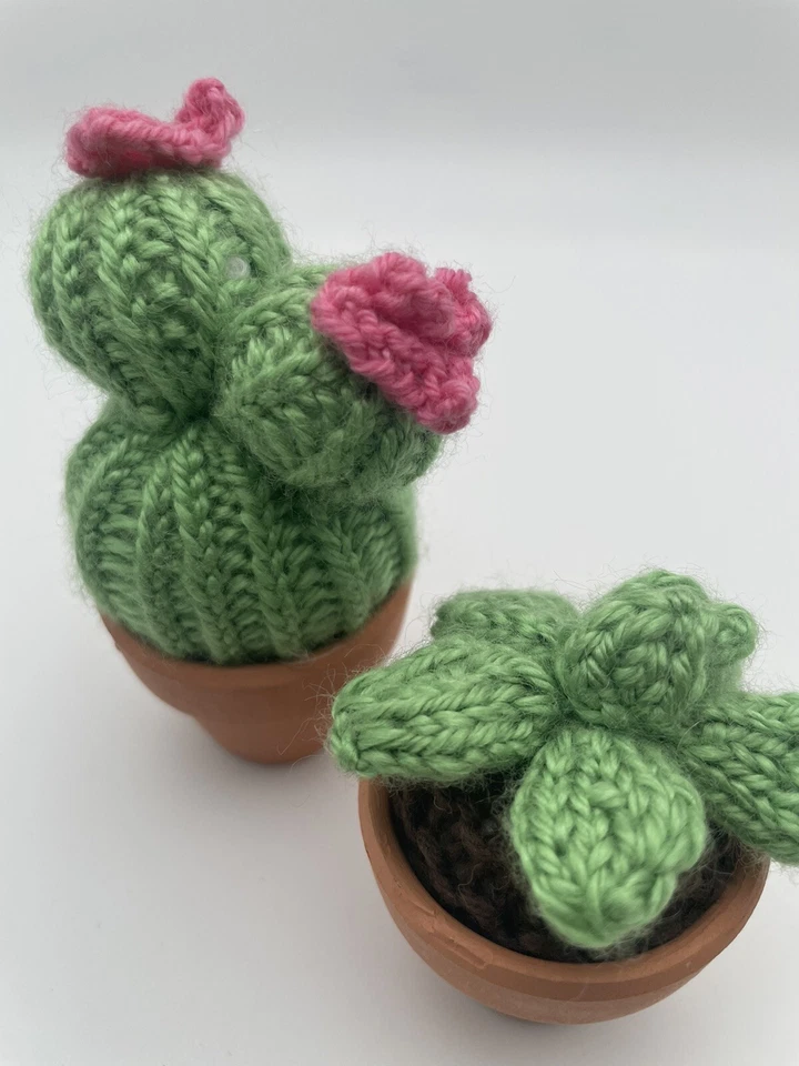 Dos pequeñas plantas tejidas de cactus en maceta rosa y verde en pequeñas macetas de terracota Foto 2 de 4