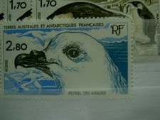 TAAF Yvert Num 110 ** MNH Faune ANNEE 1985