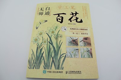 Self-Study Brush Ink Gongbi Painting Sumi-e Technique Hundred Flower Book Tattoo
