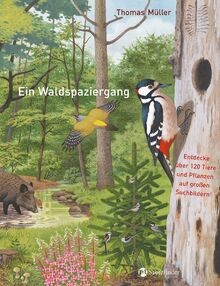 Ein Waldspaziergang von Müller, Thomas | Buch | Zustand sehr gut