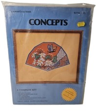 Concepts Kit W/ Frame Counted Cross Stitch 3404 Peach Fan Butterfly W/ Flowers