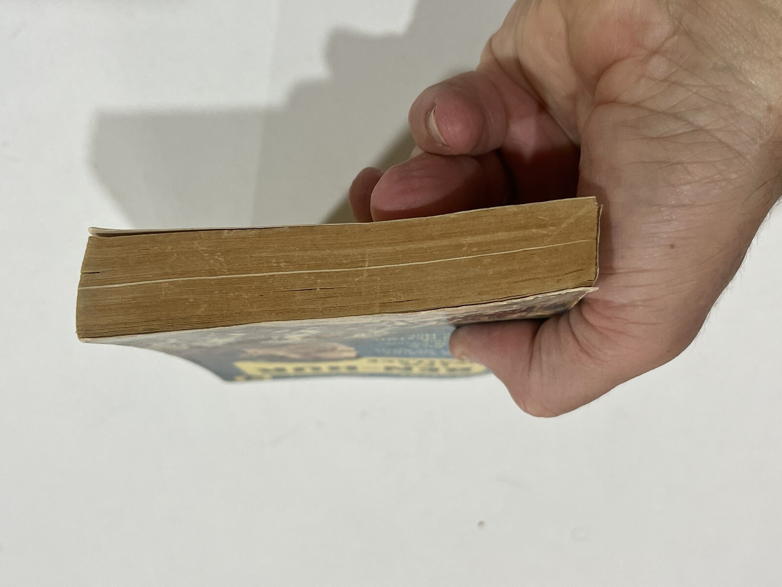 Picture 5 of 6