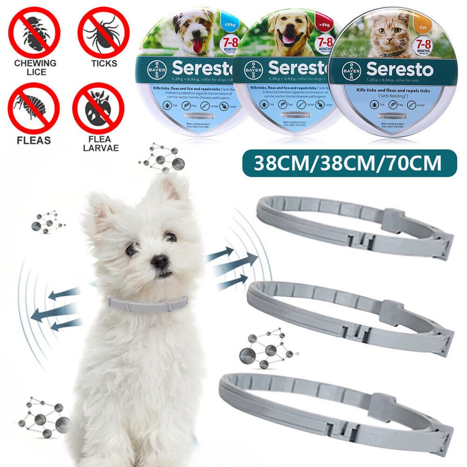 Collar Antiinsectos Pulgas y garrapatas 8 Meses Protección para Gatos Perro
