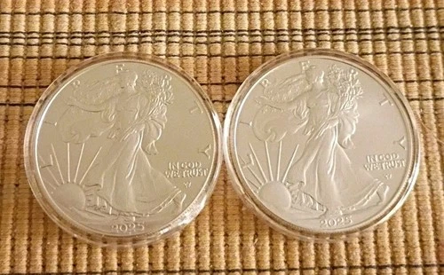 2-2025 American Silver Eagle 1 oz .999 Fine Silver Coins