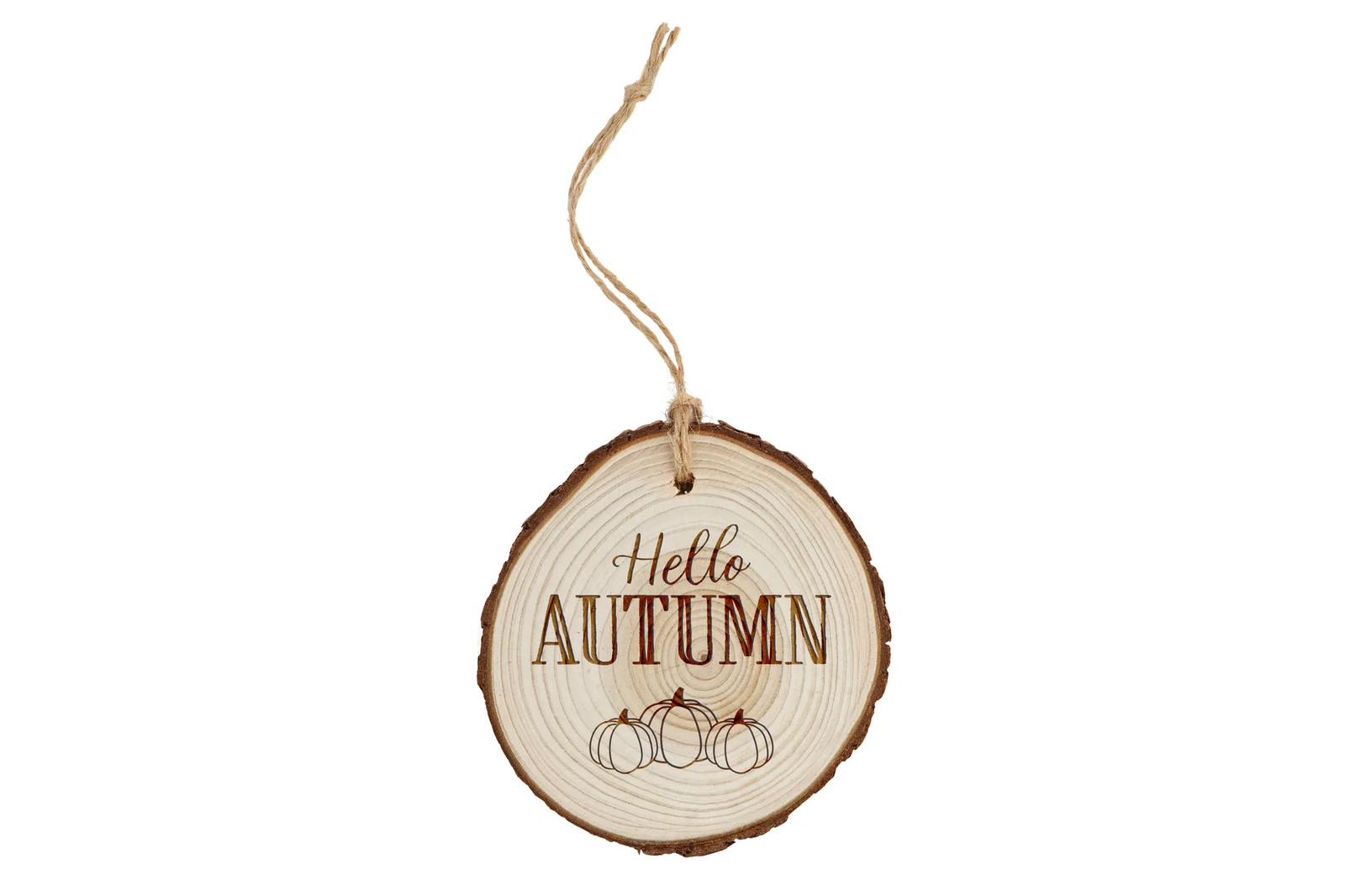 Hello Autumn Wooden Log Sign | Rustic Fall Door Hanger | Home Decor