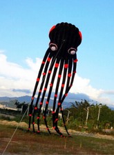 NEW 3D eyes 15m Black 1 Line Stunt Parafoil Octopus POWER Sport Kite outdoor toy
