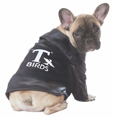 T-Birds Jacket Grease Movie 50's Fancy Dress Up Halloween Dog Cat Pet Costume