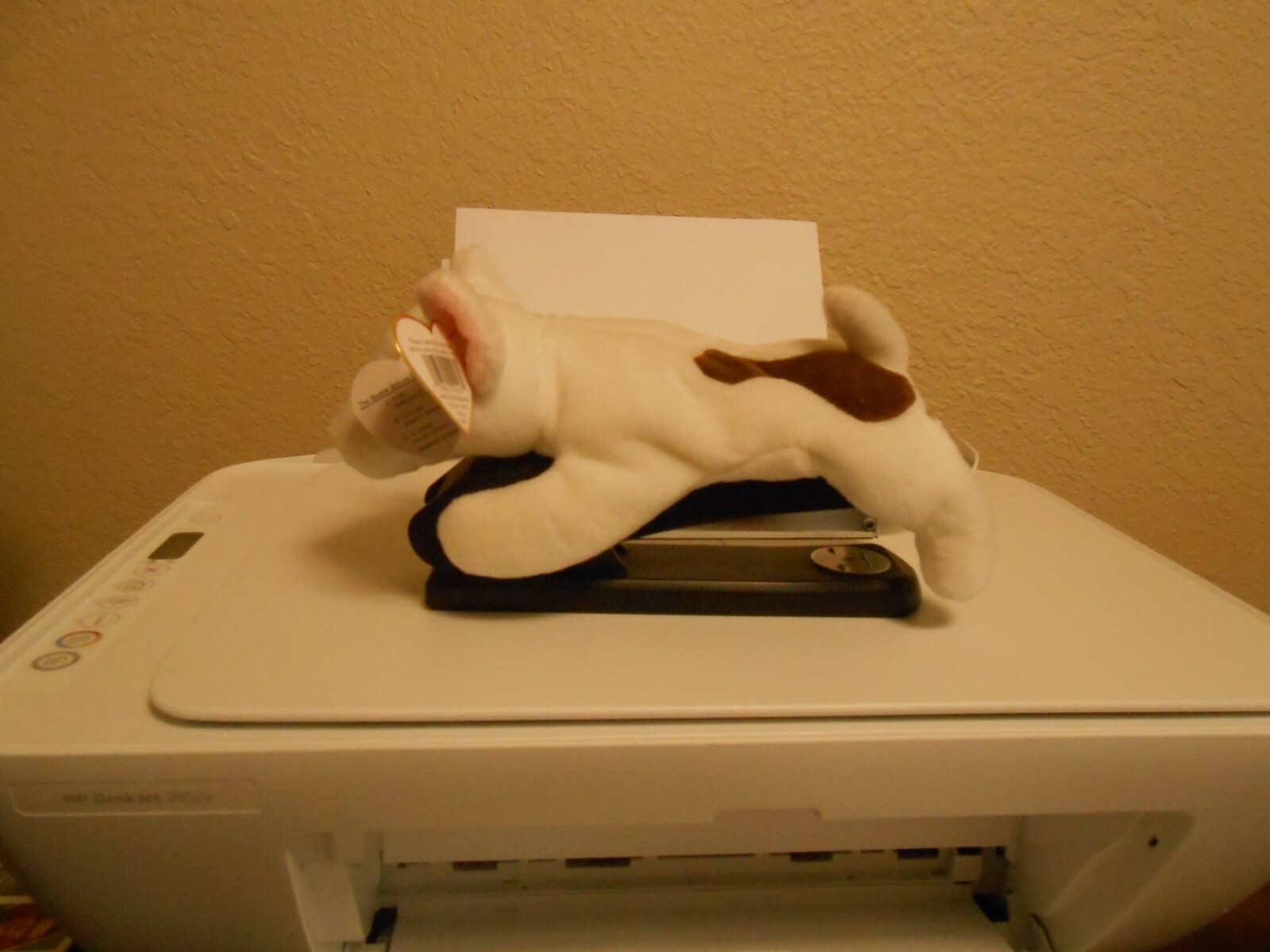 Picture 3 of 6