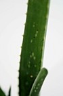 Foto 4 di 6
