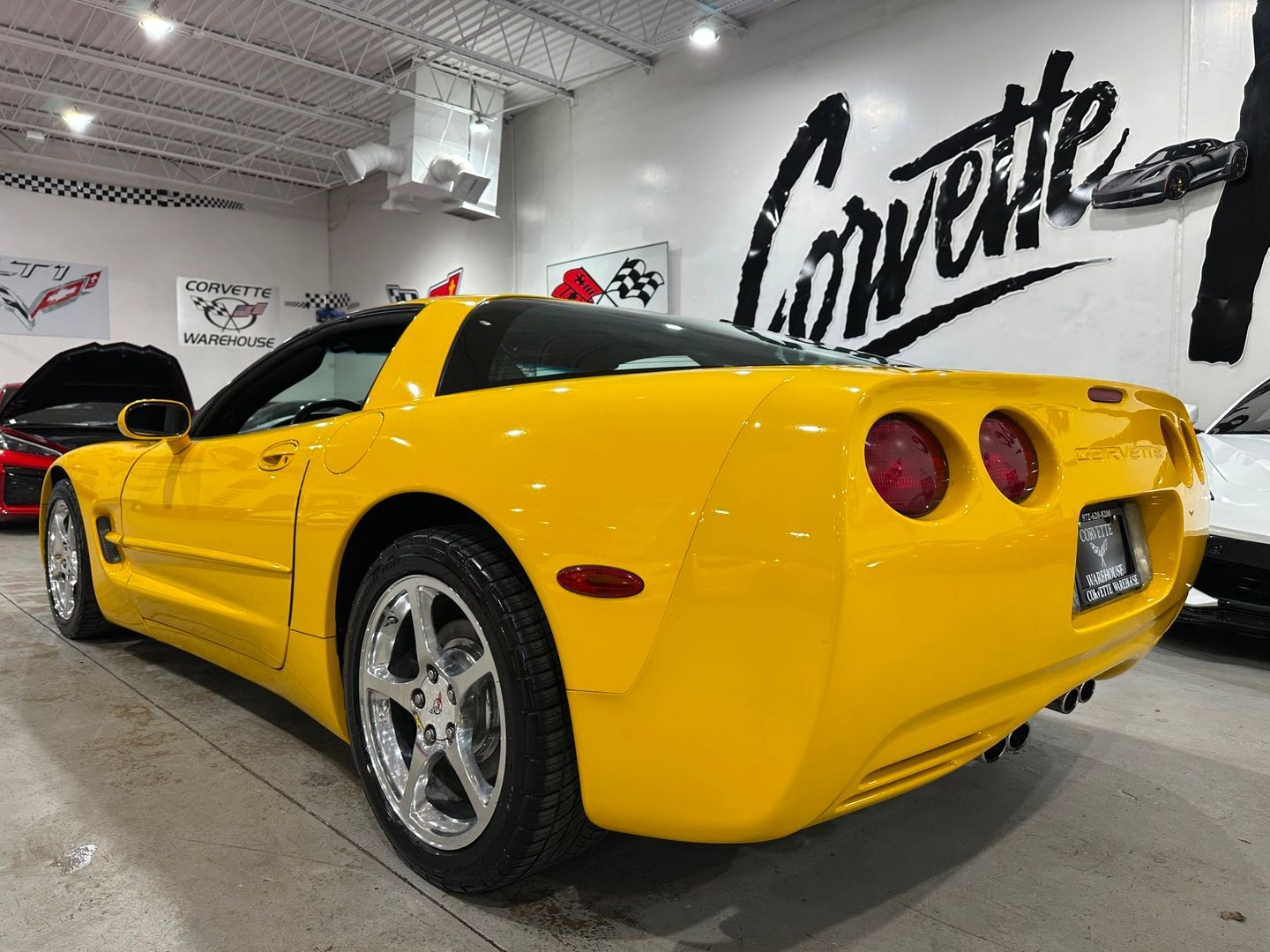 2003 [79U] Millennium Yellow Chevrolet Corvette   | C5 Corvette Photo 5