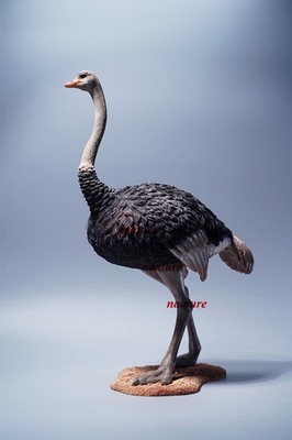 JXK JXK097A1 Ostrich Struthio 1/6 Resin Figurine Limited Animal Model Art Statue