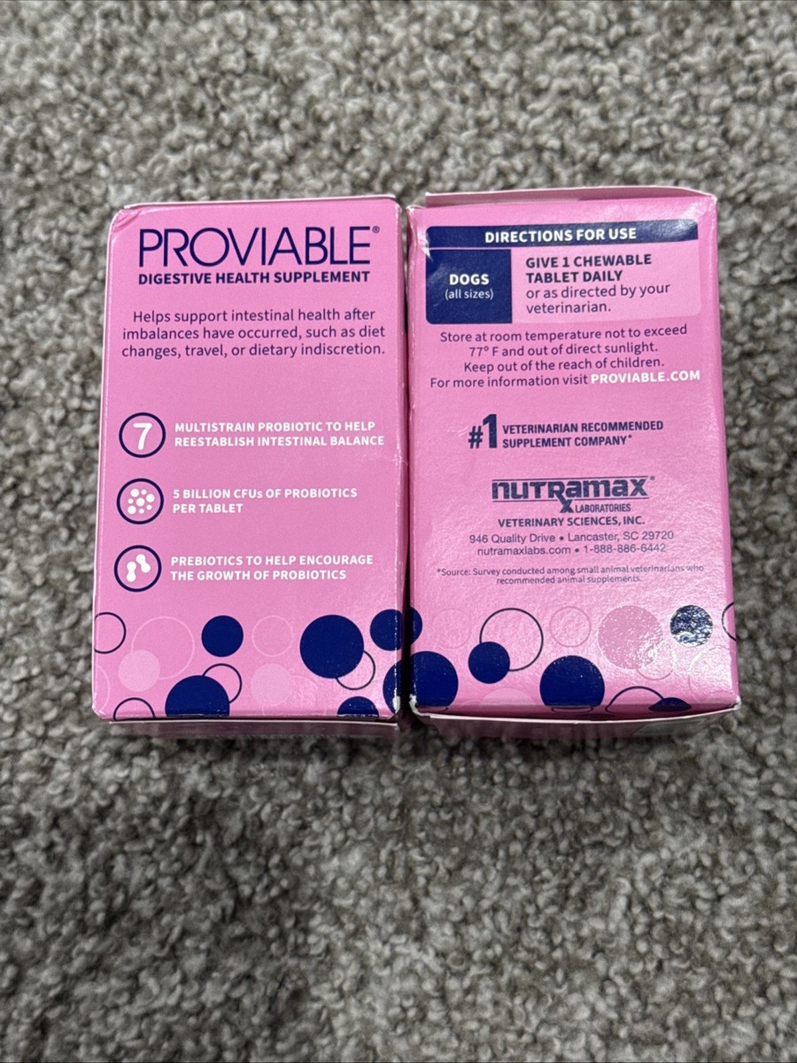 Probiotic Supplement Nutramax Probiotics For Dogs Nutramax