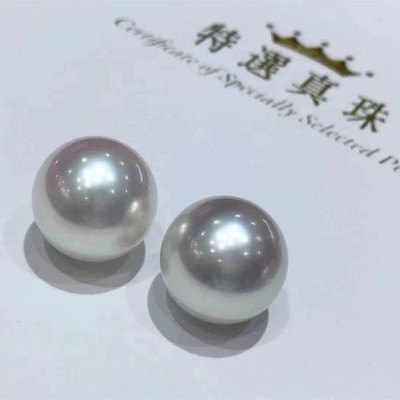 South Sea White Pearl Earrings 11 mm Round Strong Luster With 18 K Gold Stud