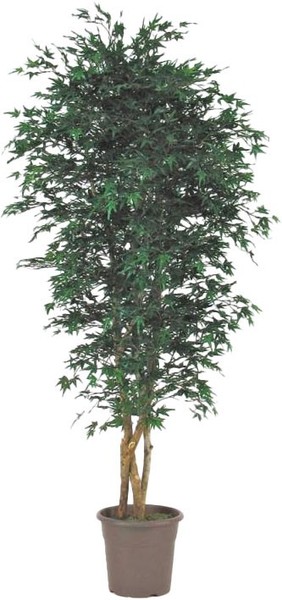 Artplants Deko Japanischer Ahornbaum Kescha, NaturstäMme, GrüN, 200Cm-image