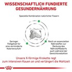 Bild 5 von 10