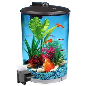 360 fish tank
