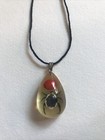 Beetle Encased In Resin Pendant Necklace