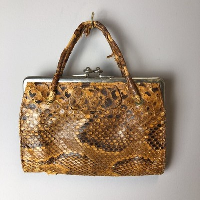 reptile shop salisbury