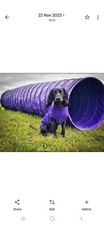 Tunnel di agilità per cani viola 3 m KC reg PVC 60 cm