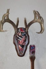 European Whitetail Deer Mount Taxidermy Skull Antler Log Cabin Decor Mule