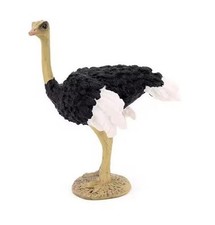 Ostrich Bird Wild Animal Figure Toy PVC Doll Small Figurine Birthday Gifts