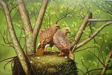 Oil Painting on canvas  - Love bird -  size 36"x 24"