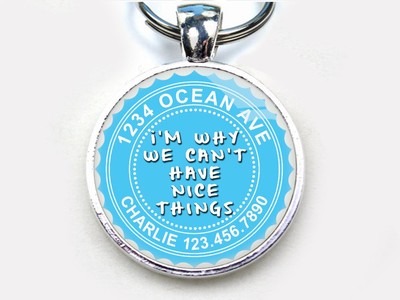 Why We Can't Have Nice Things ORANGE custom funny 11 colors pet dog cat tag id 