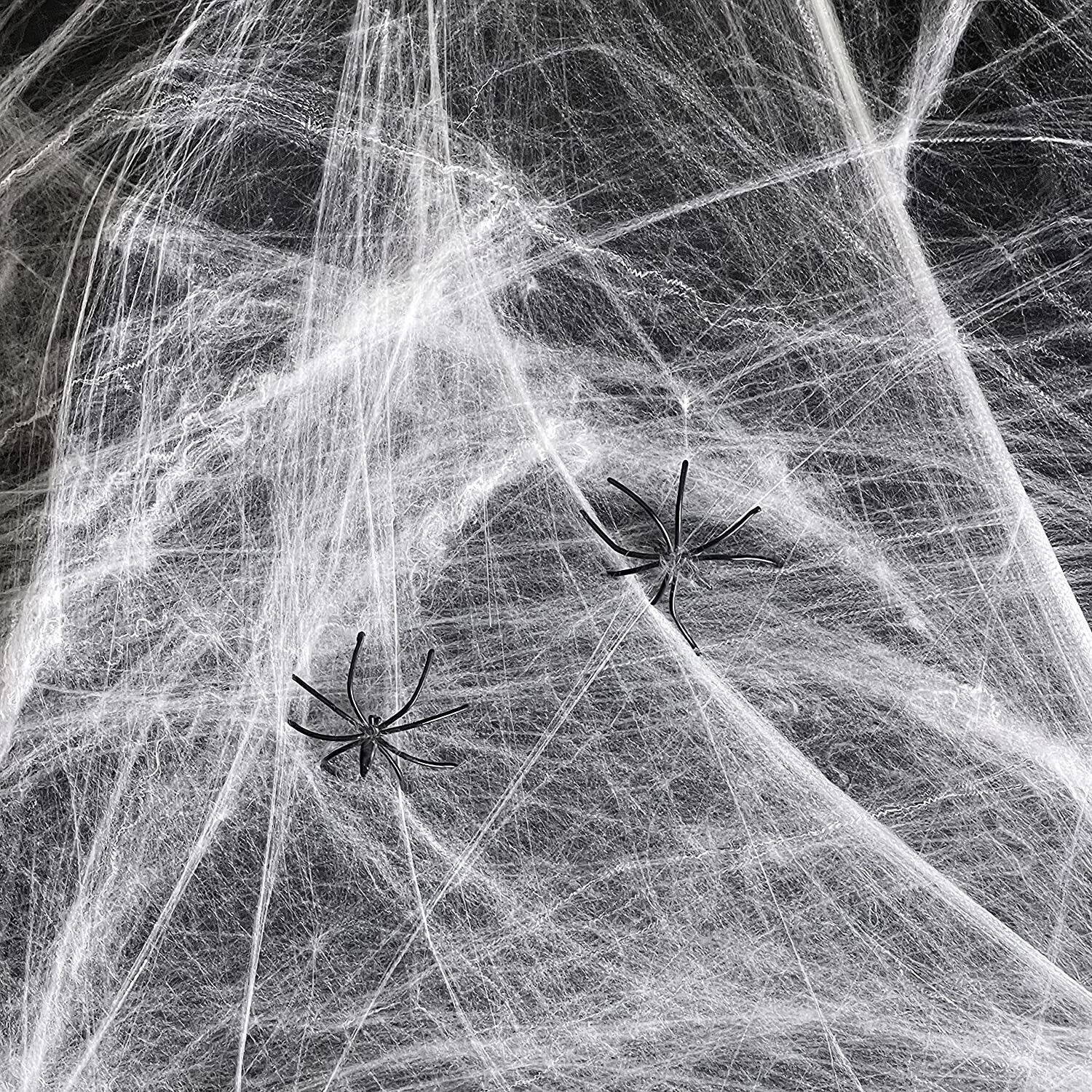 Spider Web