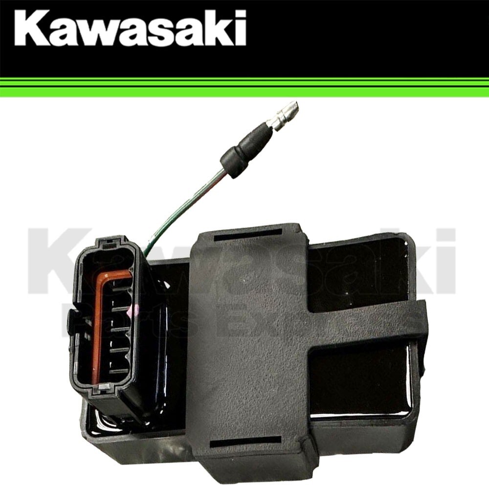 その他 Biokinetics Selective control of synaptically-connected circuit elements
