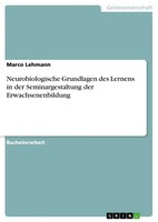 Neurobiologische Grundlagen Des Lernens In Der Seminargestaltung Der...