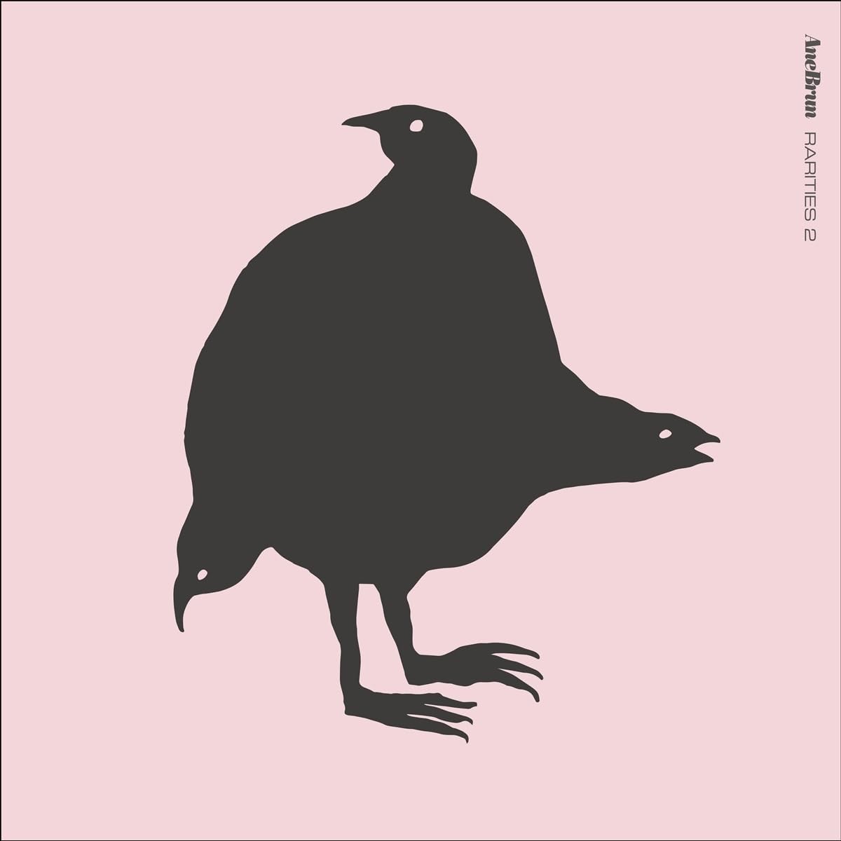 Ane Brun Rarities 2 (Vinyl LP)
