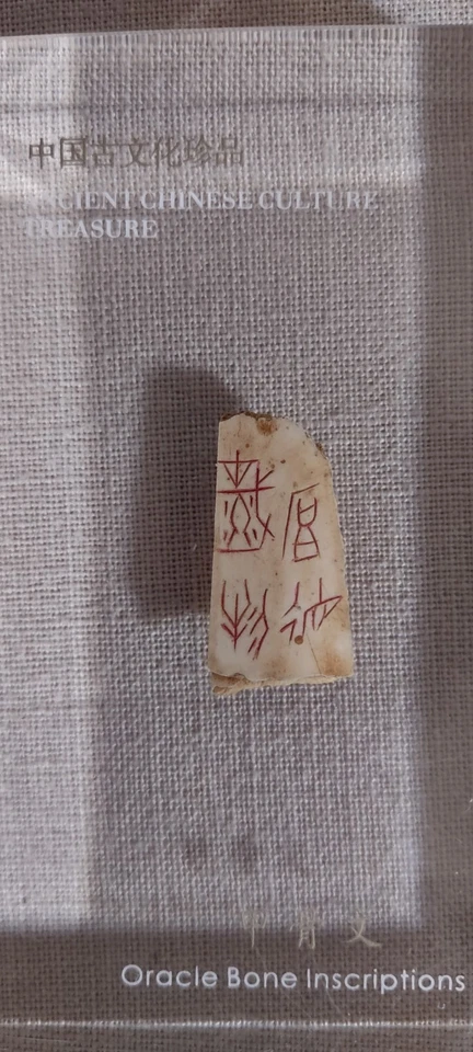 Fragmento de hueso de oráculo chino antiguo recubierto 4,5" X 3" Foto 2 de 4