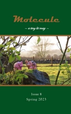 Molecule A Tiny Lit Mag #8: Spring 2023 -  NEW M. P. CARVER 2023-04-08