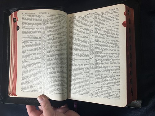 CHRISTIAN WORKER’S BIBLE Illustrated Thumb-Indexed w Encyclopedia 1993 SUPERIOR - Foto 10 di 21