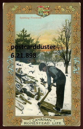 KANADA PATRIOTISCHE Postkarte 1900er Jahre Ahornblatt Rand. Brennholz spalten
