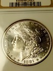 Picture 6 of 22