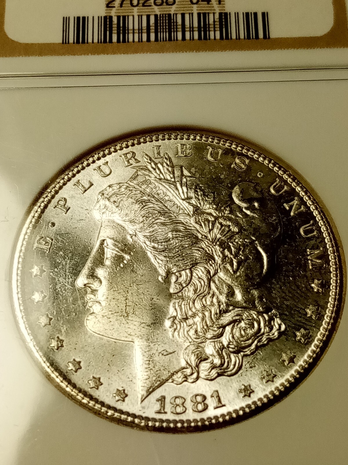Picture 6 of 22