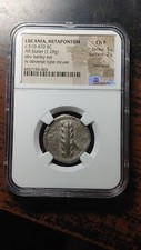Lucania Silver Stater Greek Metapontum 510-470 BC NGC Ancients Choice F 4071