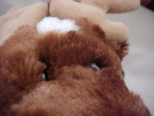 GANZ Webkinz Reindeer HM137 No Code Great Stocking Stuffer for Christmas Used - Picture 6 of 10