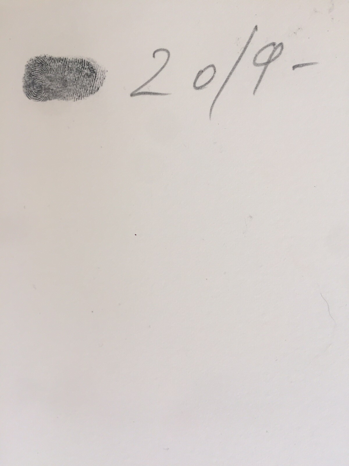Picture 10 of 10