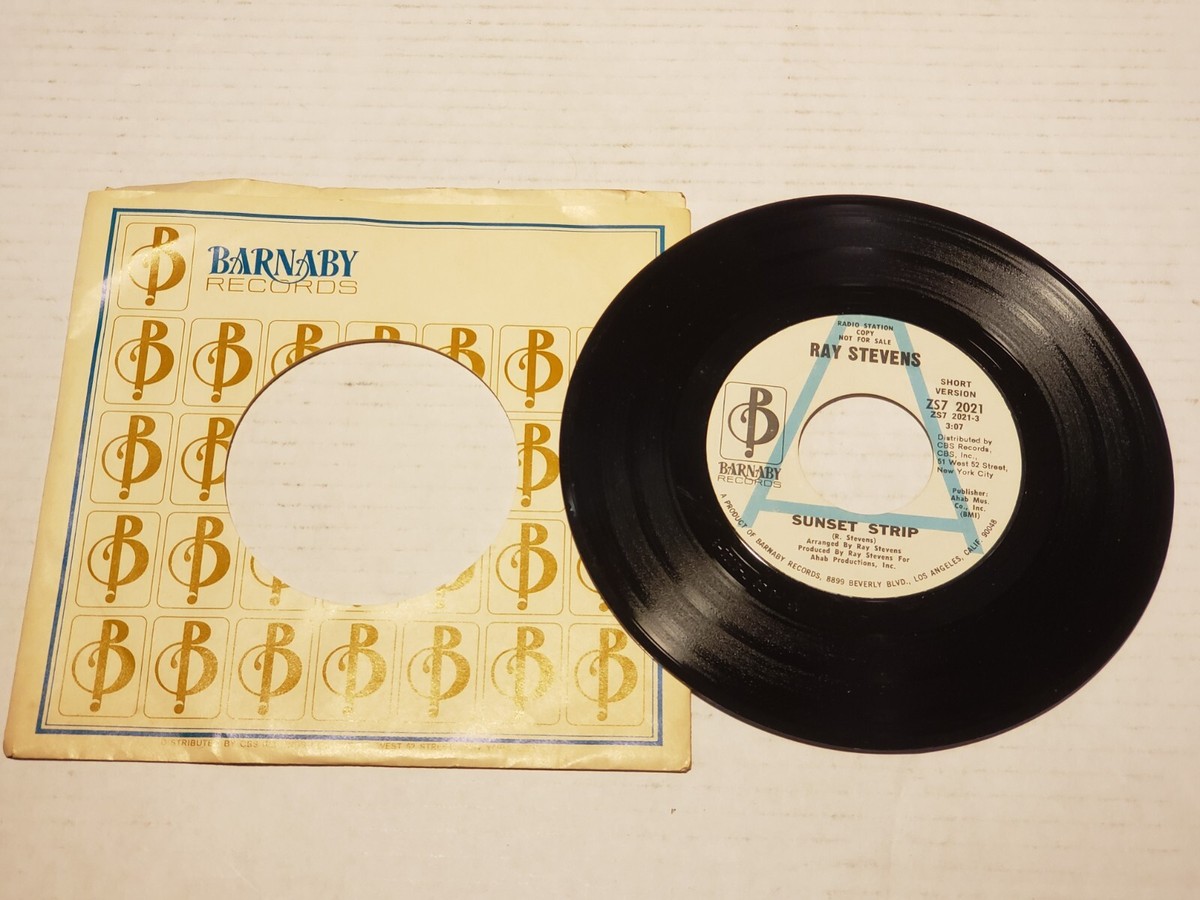 NUMBERS - sunset strip 7インチ riptides The Riptides – Sunset Strip – Vinyl (7