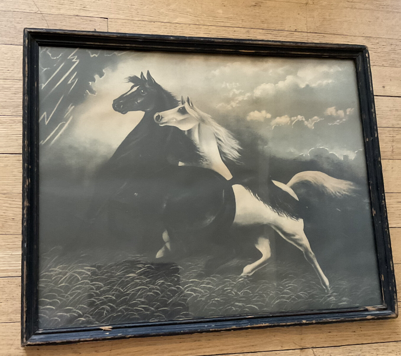 Rare Art Spirited Horses No.2 LeRoy, 1904 Print, 21 X 17, Weathered, B