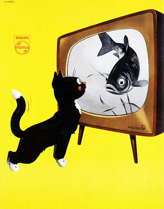 POSTER BLACK CAT WATCHING FISH ON PHILIPS TV LICKING LIPS VINTAGE REPRO  FREE S/H