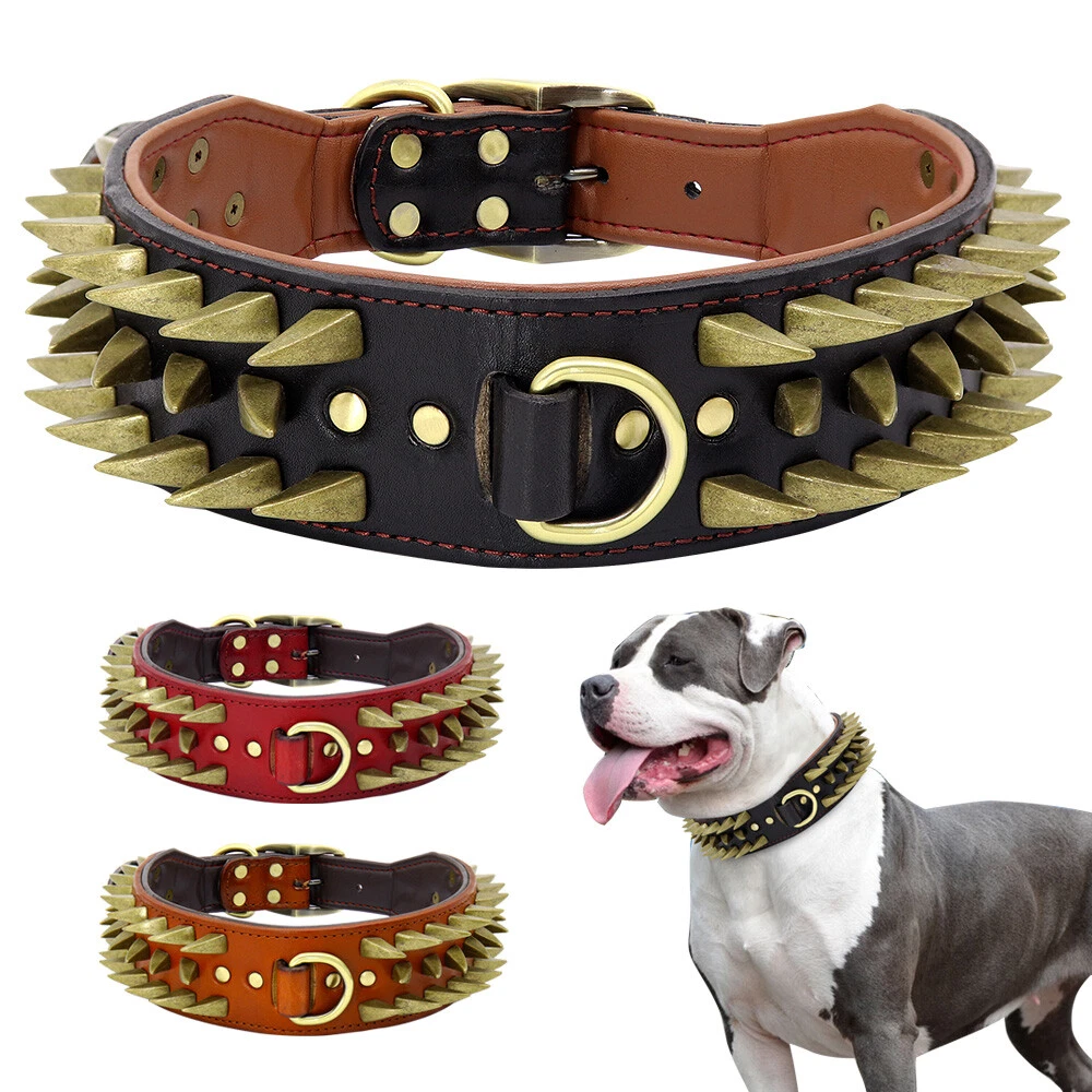 Dog Collar Dior Luxury Jewelry Cat