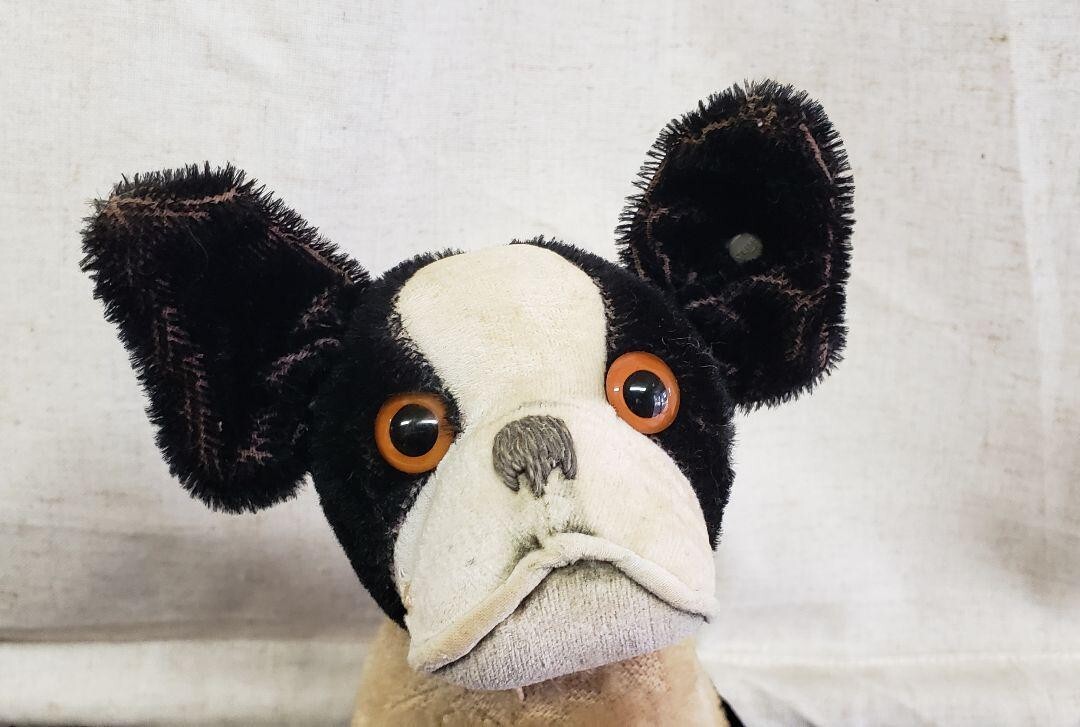 Steiff Bully Antique 1927 22cm Used | eBay Steiff Bully Antique 1927 22cm Used | eBay