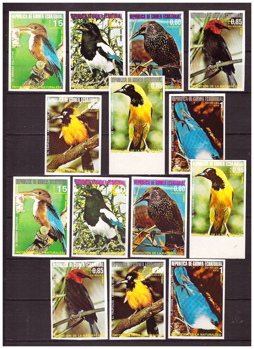 s19374) GUNEA EQUATORIAL 1976 MNH** Birds 7v COLOR PROOFS (5 SCANS