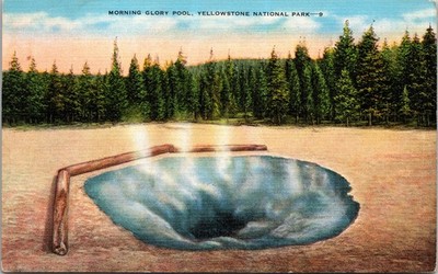 Vintage Postcard Yellowstone Park Morning Glory Pool Upper Geyser Basin USA