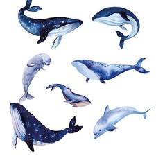 Large Whale Shark Wall Decals, Under The Sea Wall Decals Ocean Dolphin Fishin...